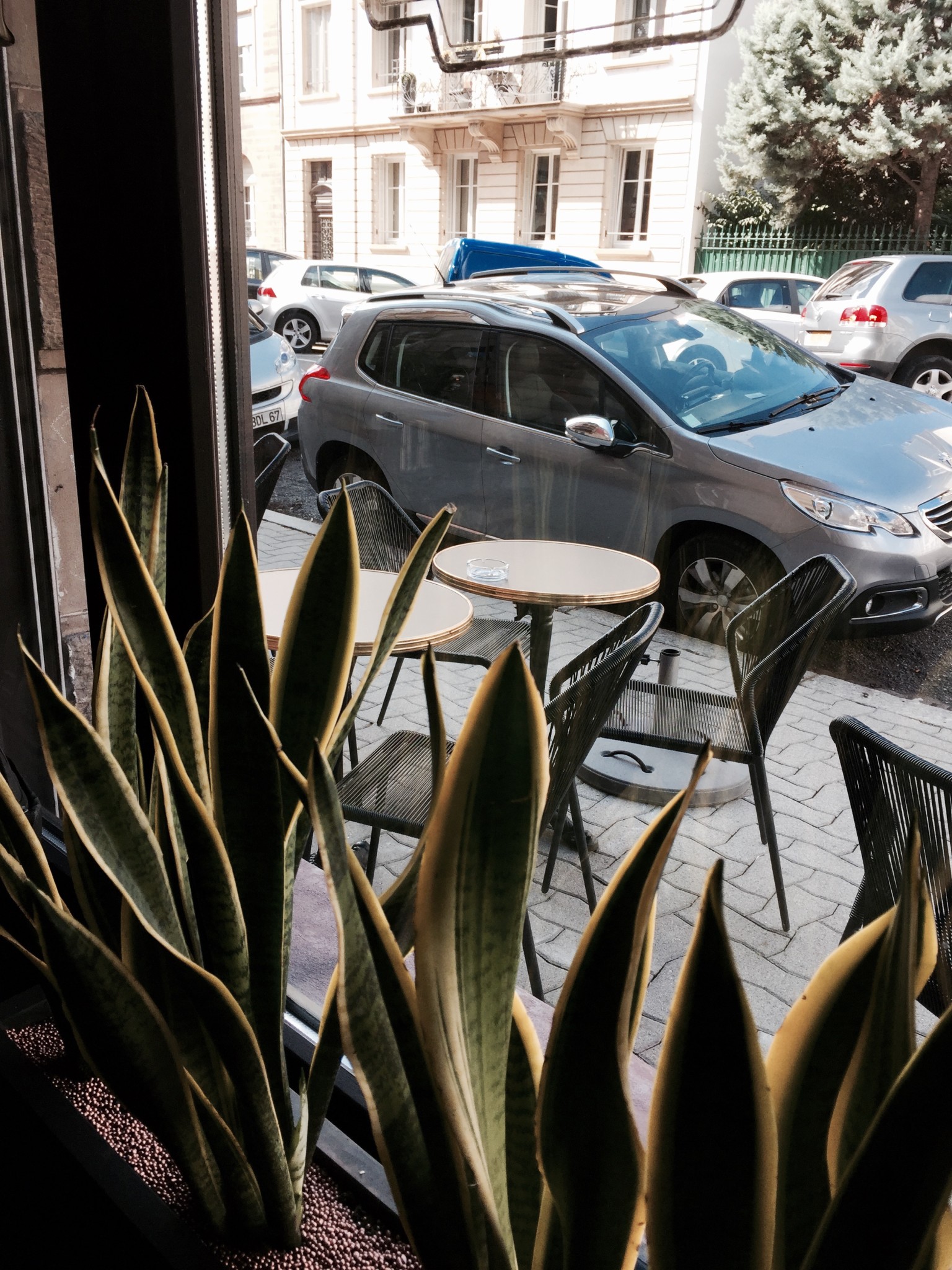 Kapoué test n°79 Restaurant "Les Innocents" à Strasbourg