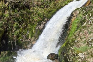randonnée Chutes d’Allerheiligen cascade en forêt noire Allemagne